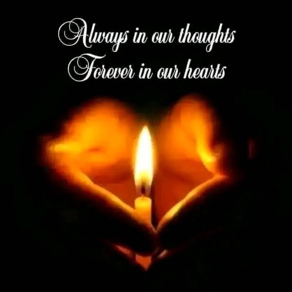 Remembering Anthony Jannotta A Resident Of Westport, CT